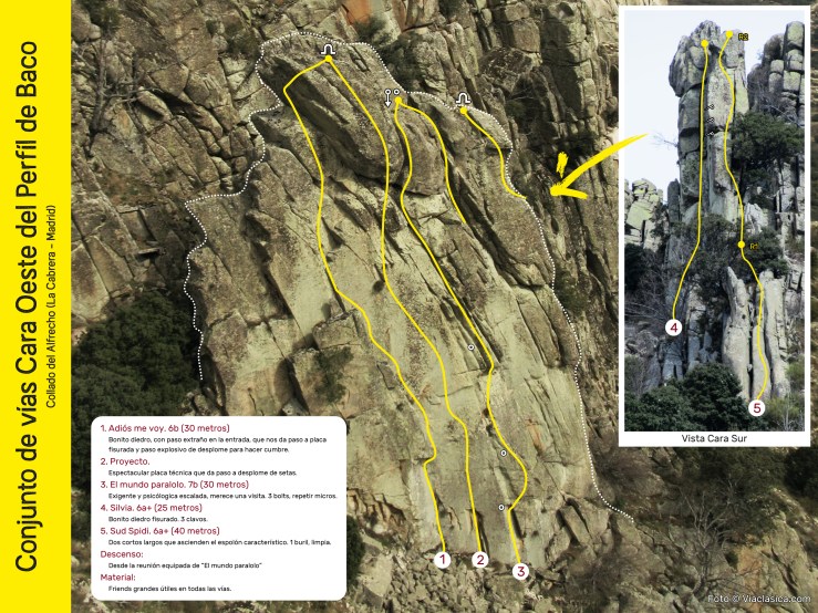 Perfil de Baco, la aguja olvidada