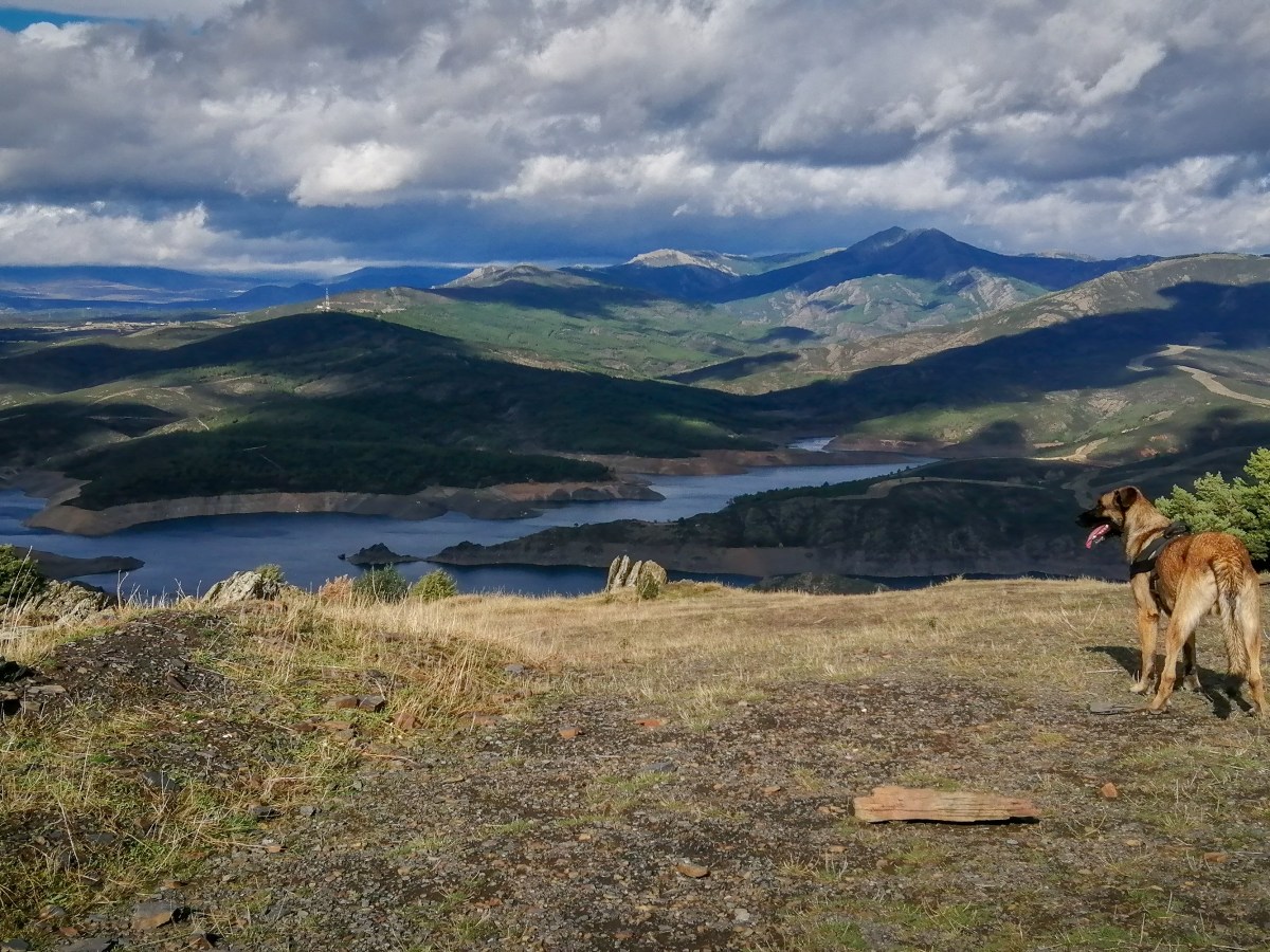Cancho de la Cabeza ladera Sur, rincón salvaje